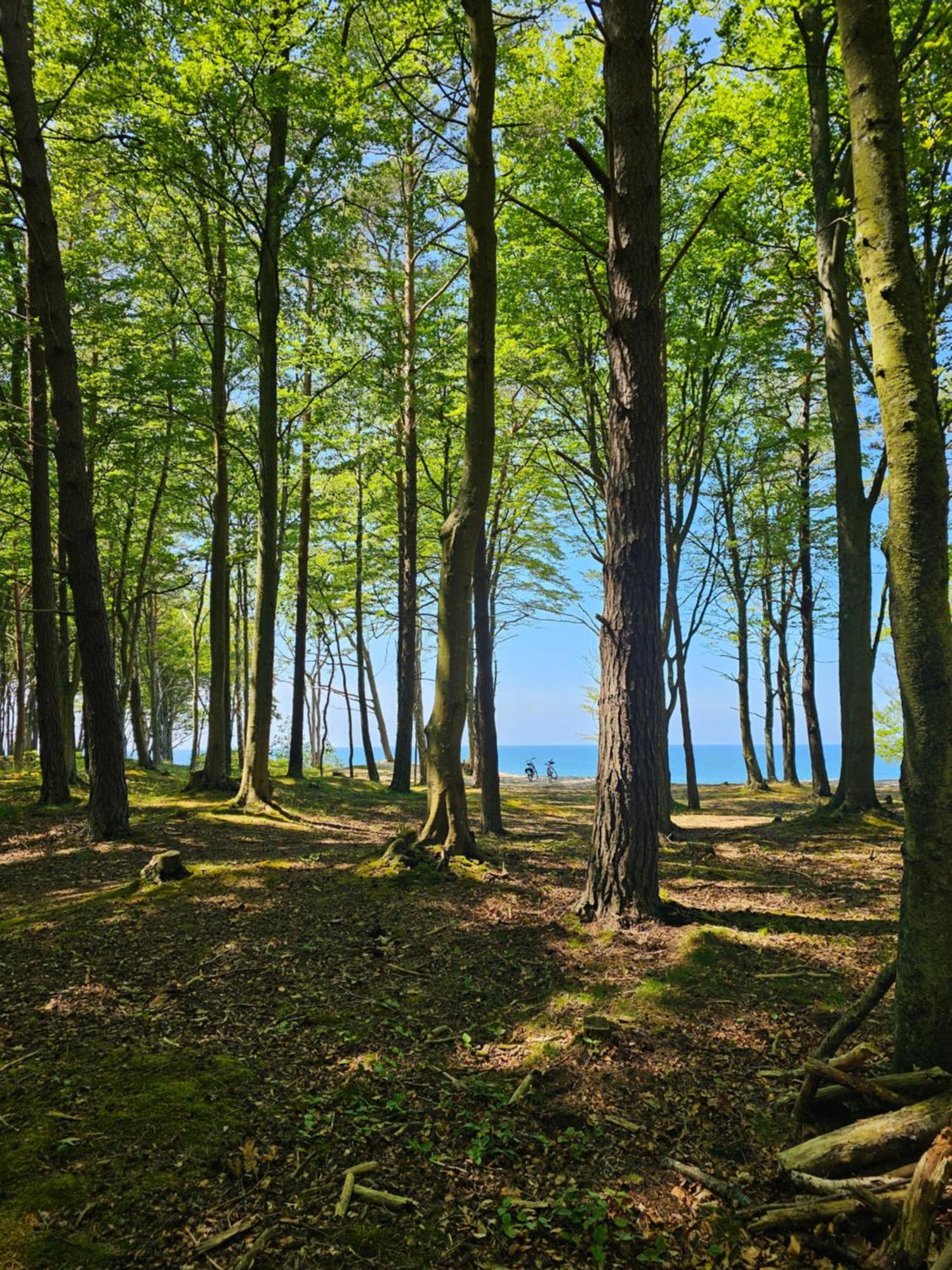 Apartament 3B Blue Marine Poddąbie Zewnętrze zdjęcie